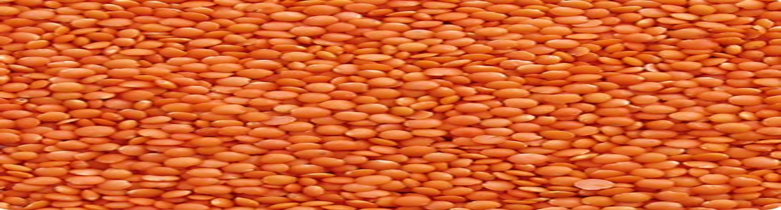Pulses Brokers